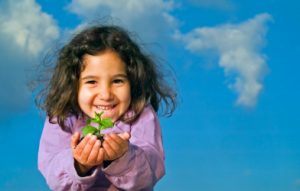 Read more about the article מבנה ביטוח הבריאות בישראל
